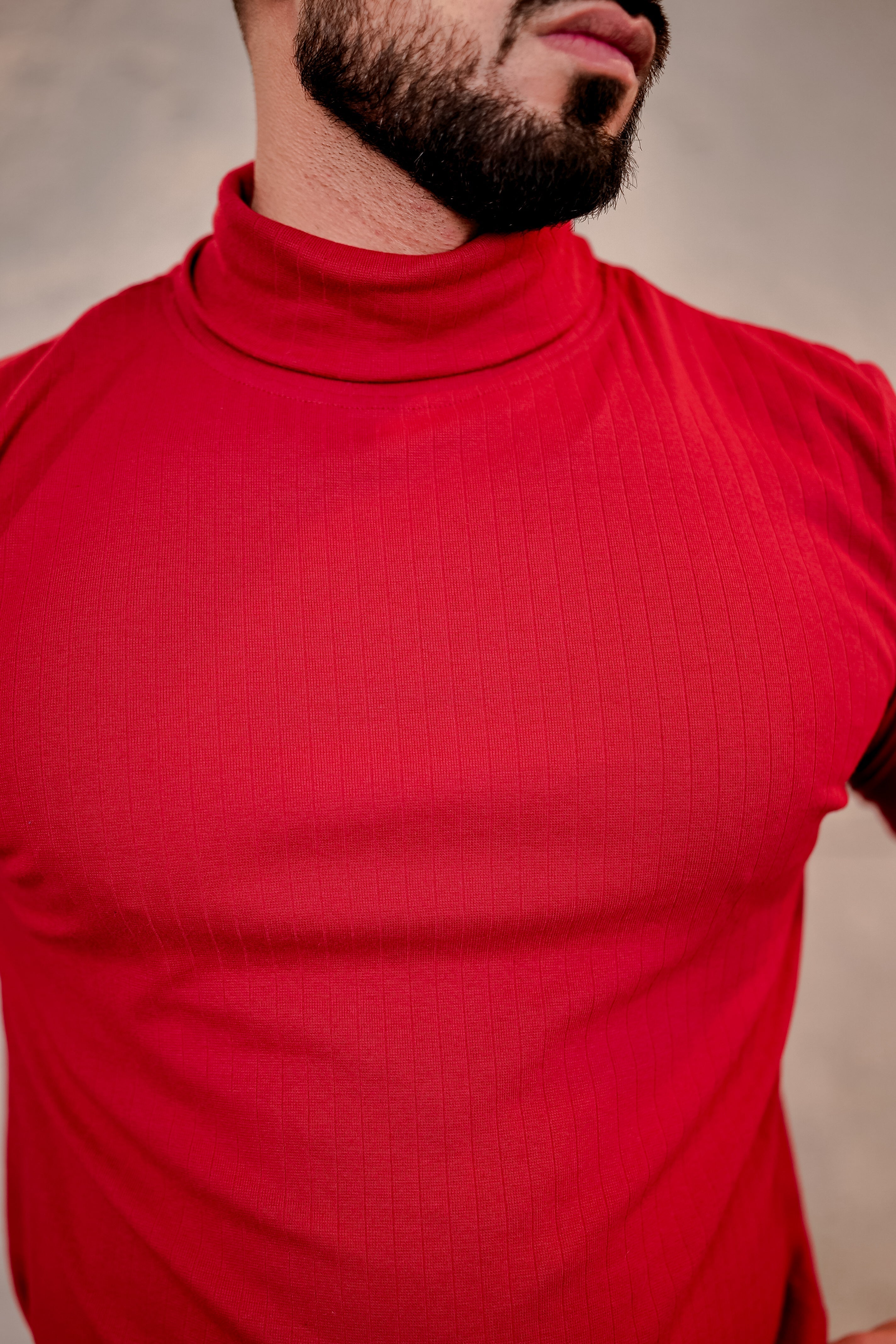 Maroon Self Design High Neck T-Shirt